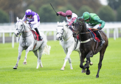 Wincanton Racecourse